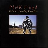 Pink Floyd - Delicate Sound of Thunder  (Live)