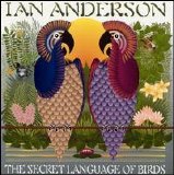 Anderson, Ian - The Secret Language of Birds