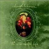 Sparklehorse - It's a Wonderful Life