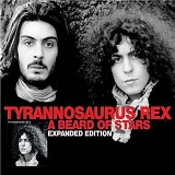 T. Rex - A Beard of Stars [2004 expanded edition]