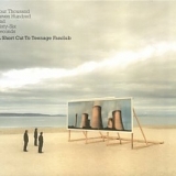 Teenage Fanclub - Four Thousand Seven Hundred & Sixty Six Seconds