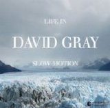 David Gray - Life in Slow Motion