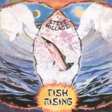 Hillage, Steve - Fish Rising