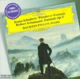 Schubert - Schumann - Wanderer, Fantasies