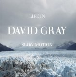 David Gray - Life In Slow Motin