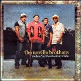 Neville Brothers - Walkin' In The Shadow Of Life