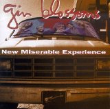 Gin Blossoms - New Miserable Experience