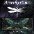 Amethystium - Odonata