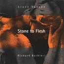 Steve Jansen - Richard Barbieri - Stone To Flesh