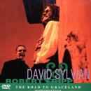 David Sylvian & Robert Fripp - The Road To Graceland (Special Limited Edition)