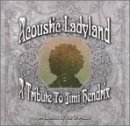 Out Of Phase - Acoustic Ladyland - A Tribute to Jimi Hendrix