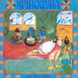 Spirogyra - Old Boot Wine