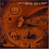 David Sylvian - Dead Bees On A Cake