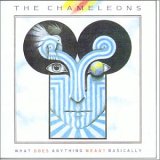 The Chameleons - What Does Anything Mean? Basically