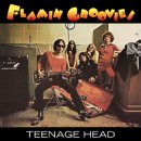 Flamin Groovies, The - Teenage Head