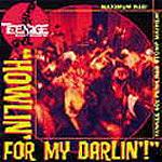 Various artists - Teenage Shutdown Vol. 14 - Howlin' For My Darlin!