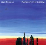 Edie Brickell - Picture Perfect Morning