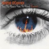 SinÃ©ad O'Connor - Troy (The Phoenix From The Flame) single