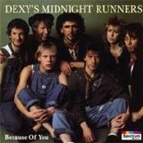 Dexy's Midnight Runners - Because Of You