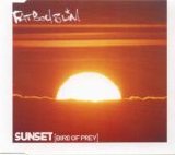 Fatboy Slim - Sunset (Bird Of Prey) single