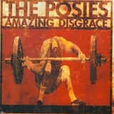 The Posies - Amazing Disgrace