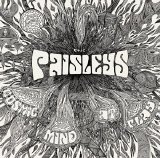 The Paisleys - Cosmic Mind At Play