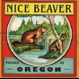 Nice Beaver - Oregon