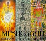 Meshuggah - Destroy Erase Improve