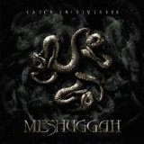 Meshuggah - Catch Thirty-Three