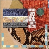 David Torn, Mick Karn & Terry Bozzio - Polytown