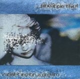 The Pineapple Thief - Variations On A Dream