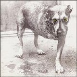 Alice In Chains - Alice In Chains