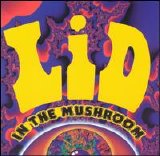 Lid - In The Mushroom