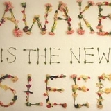 Ben Lee - Awake Is The New Sleep