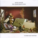 Sonic Youth - The Destroyed Room: B-Sides and Rarities