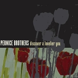 Pernice Brothers - Discover A Lovelier You