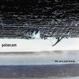 Palsecam - We Are Just Borgs