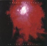 Porcupine Tree - Up The Dowstair
