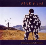 Pink Floyd - The Delicate Sound Of Thunder