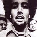 Ben Harper - The Will To Live