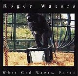 Roger Waters - What God Wants, Part I