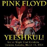 Pink Floyd - Yeeshkul!