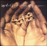 Michael Franks - Dragonfly Summer