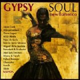 Various artists - Gypsy Soul: New Flamenco