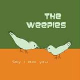 Weepies, The - Say I Am You