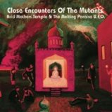 Acid Mothers Temple & The Melting Paraiso U.F.O. - Close Encounters Of The Mutants