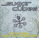 Sugar Cubes - Here Today, Tomorrow Next Week!