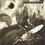 David Sylvian - Secrets Of The Beehive