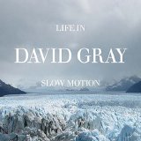 David Gray - Life In Slow Motion