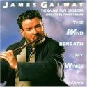 James Galway - The Wind Beneath My Wings